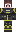 PraetorSeltin Minecraft Skin