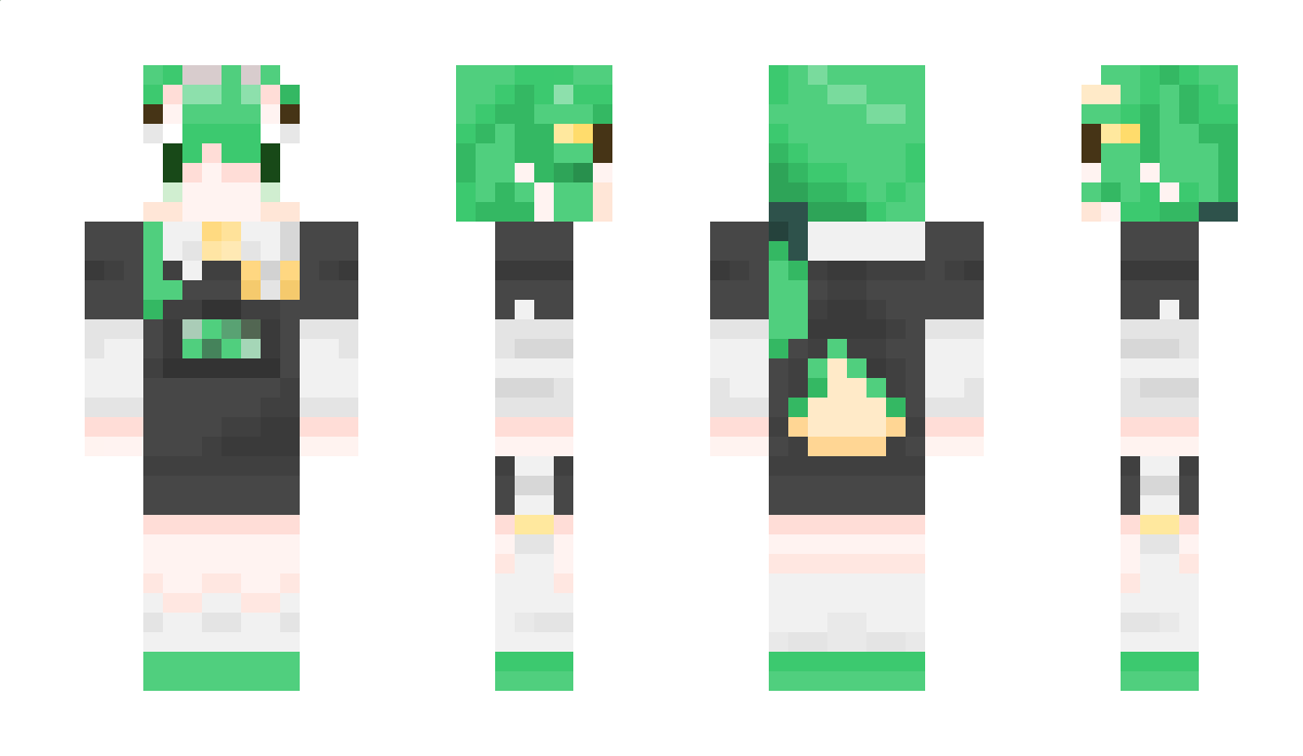 Mowa0204 Minecraft Skin