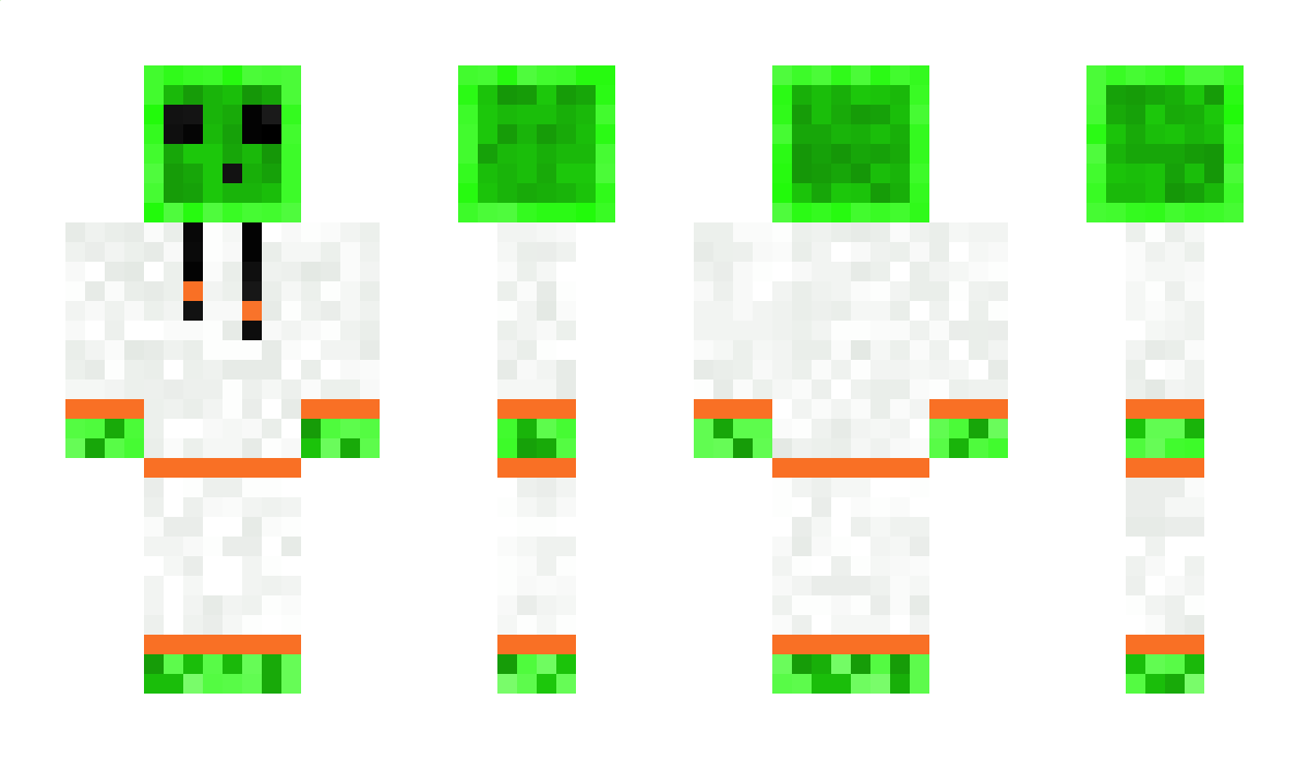 RGFlappyNo3 Minecraft Skin