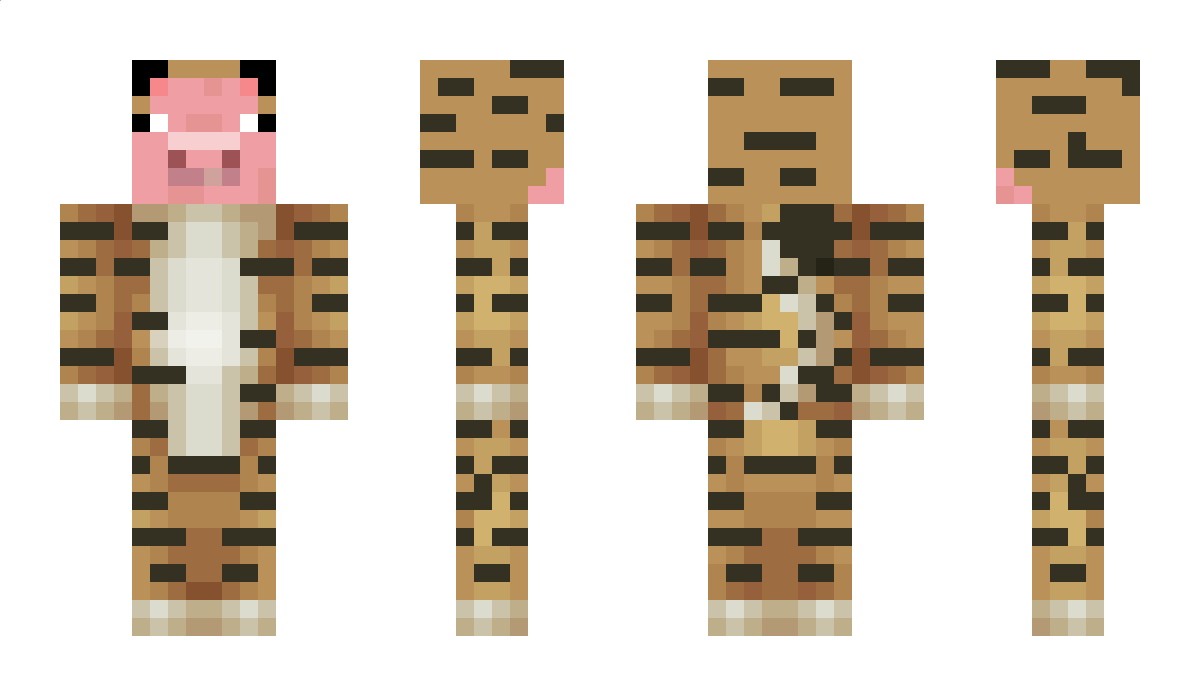 Brinkz_ Minecraft Skin