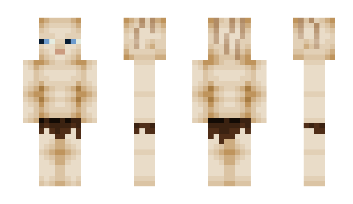 Tomm Minecraft Skin