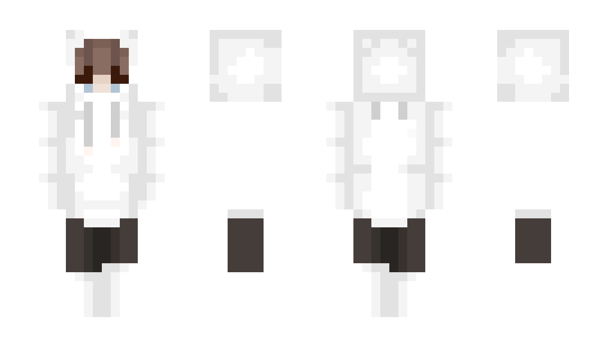 robin4342 Minecraft Skin