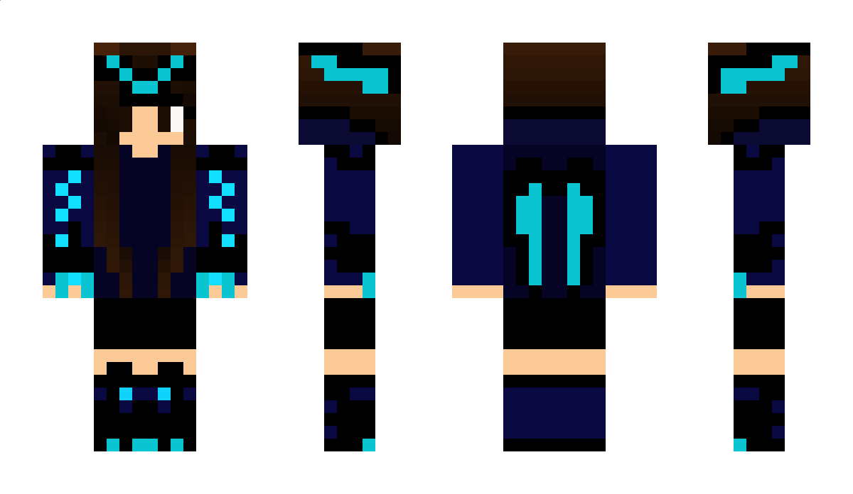 night_fury Minecraft Skin