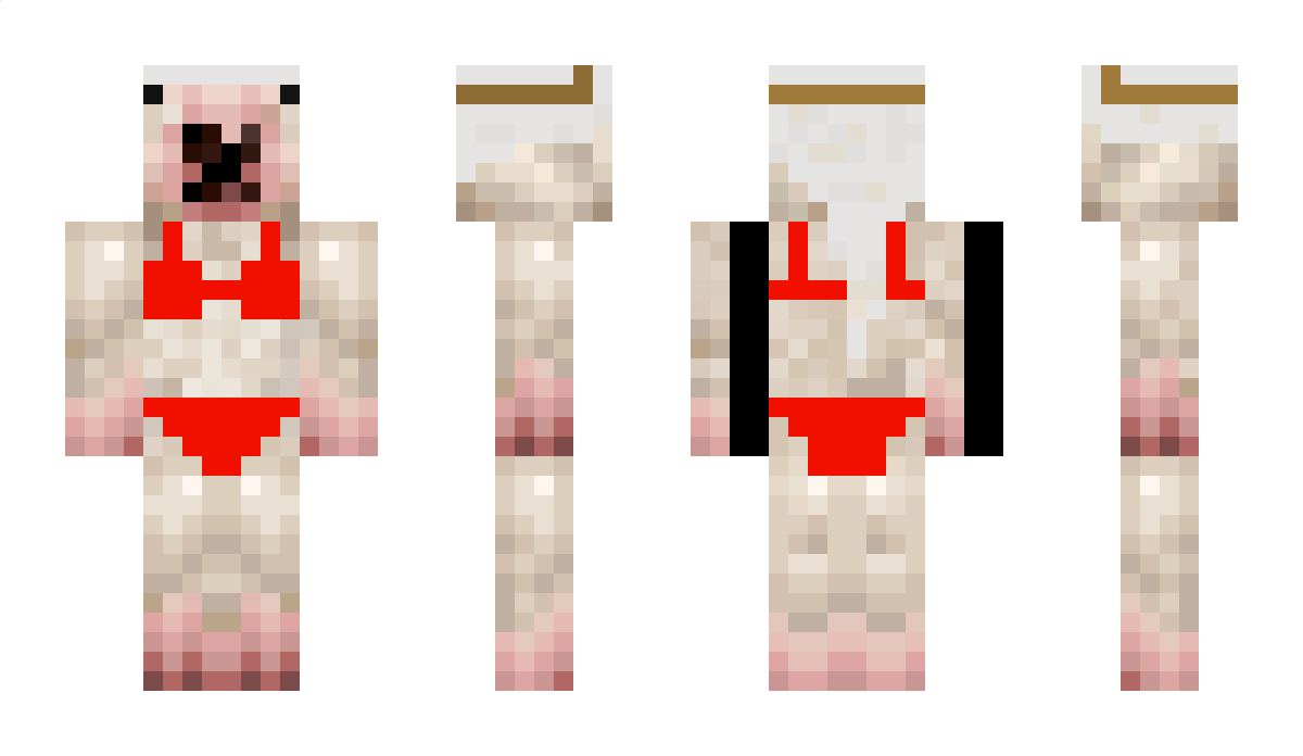 sortin1 Minecraft Skin