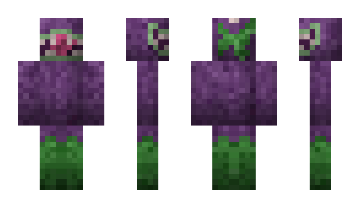 ALT_F40 Minecraft Skin