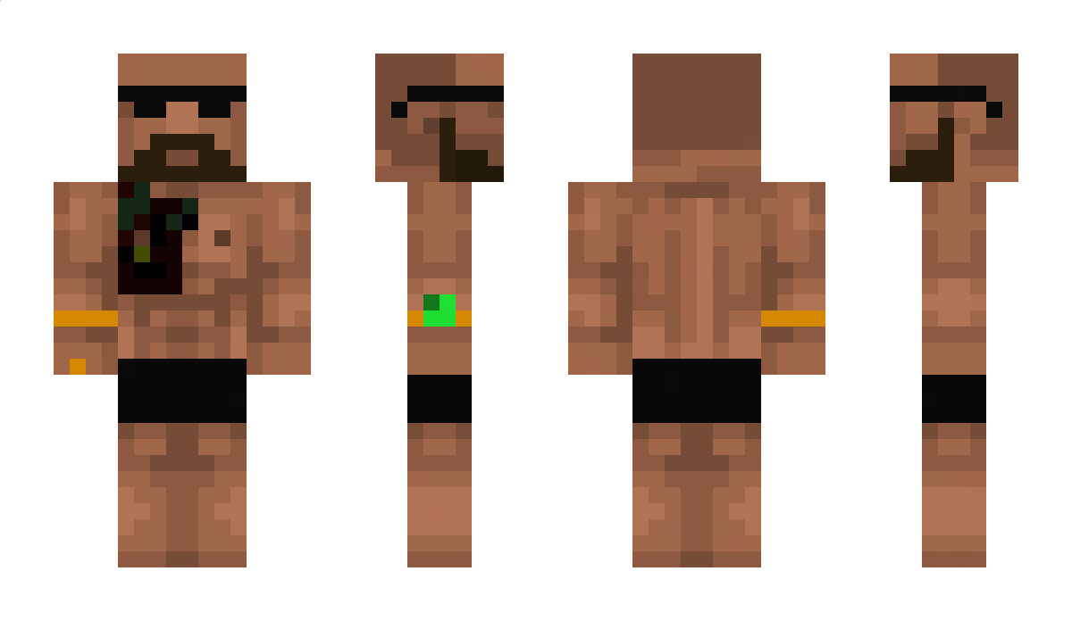 LitDash Minecraft Skin