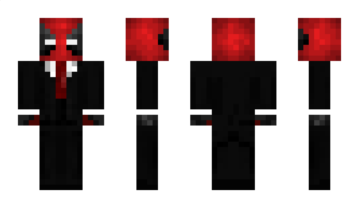 tomersi1234 Minecraft Skin