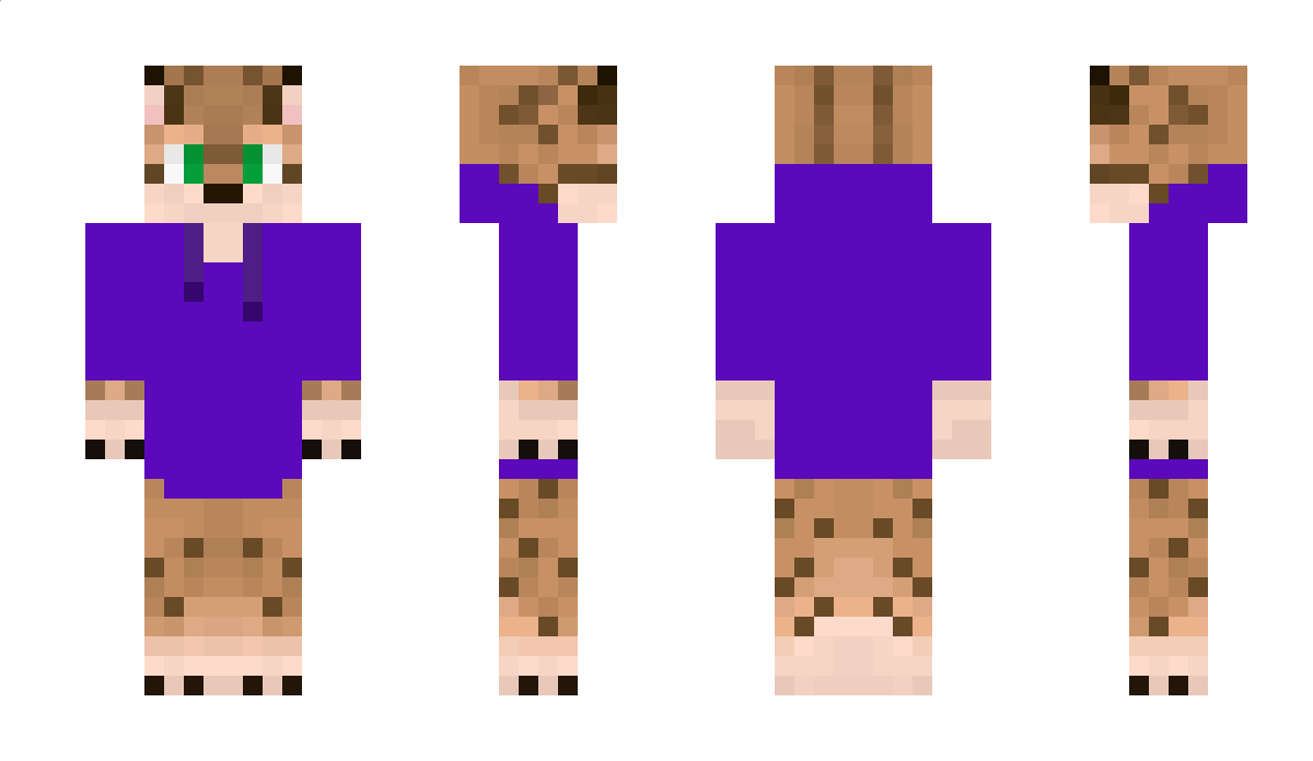 Ry5iuu Minecraft Skin