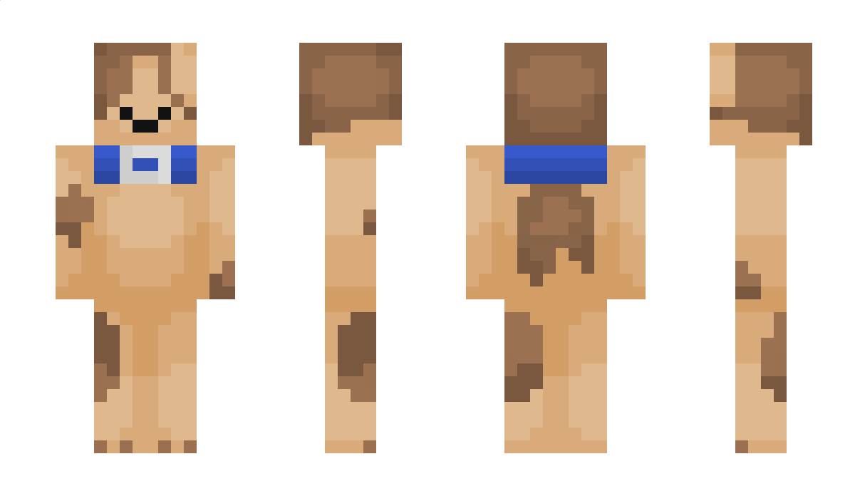 hiiro Minecraft Skin