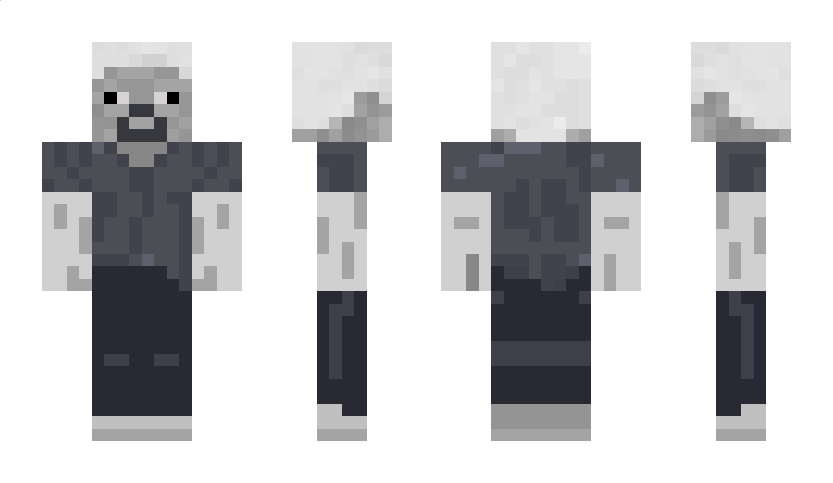 Spid1r Minecraft Skin