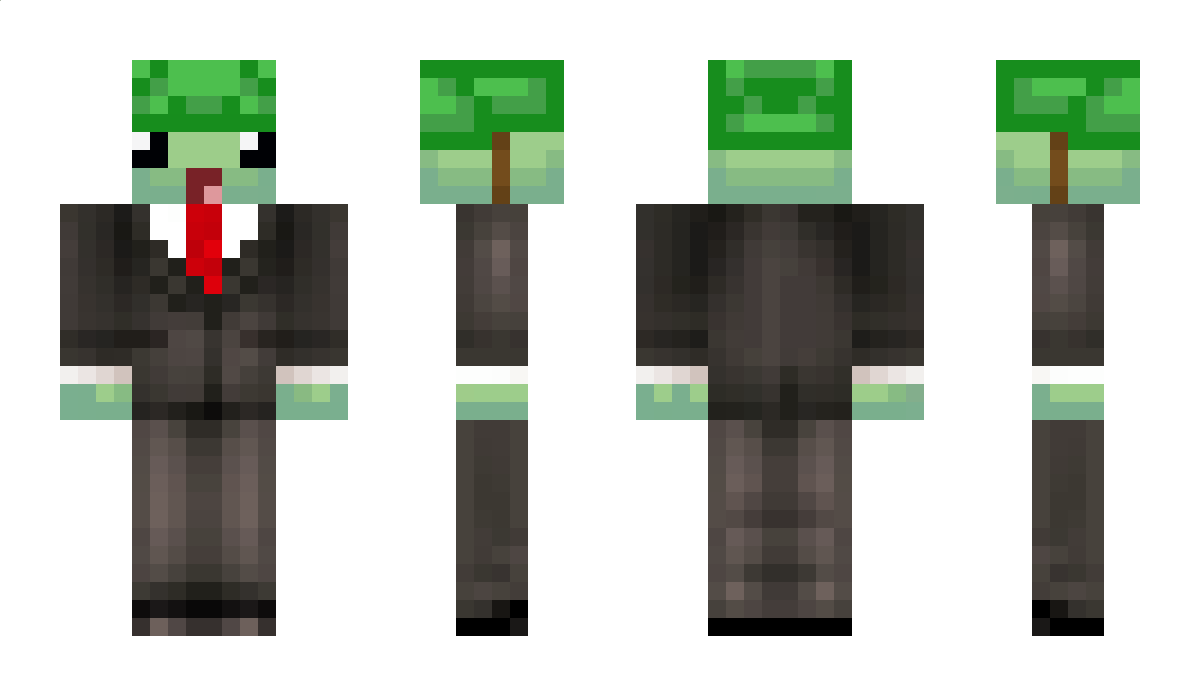 StoneTurt1e Minecraft Skin