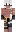 delfingo Minecraft Skin