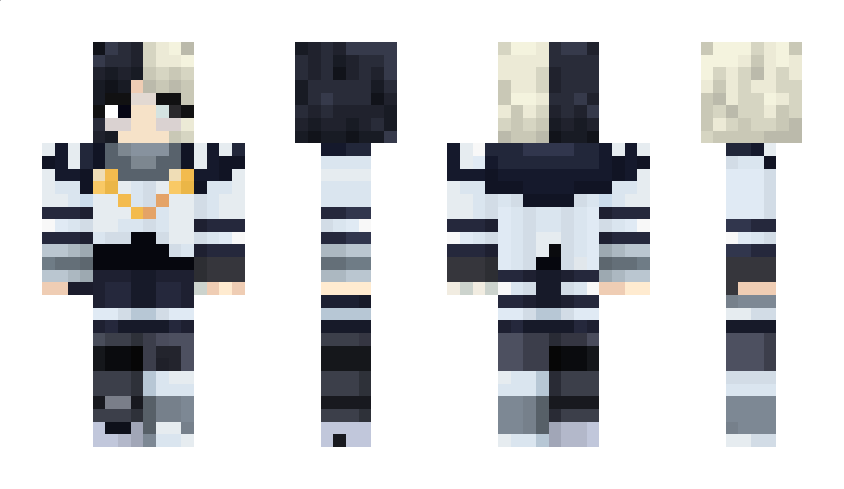 DecHoMirror Minecraft Skin