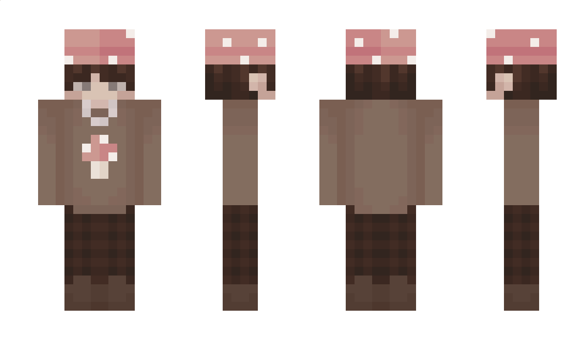 T0asters Minecraft Skin