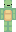 turtils Minecraft Skin