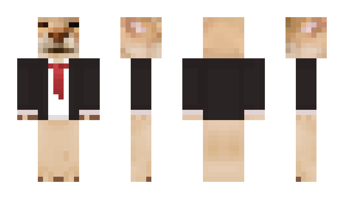 Baka_Nii Minecraft Skin
