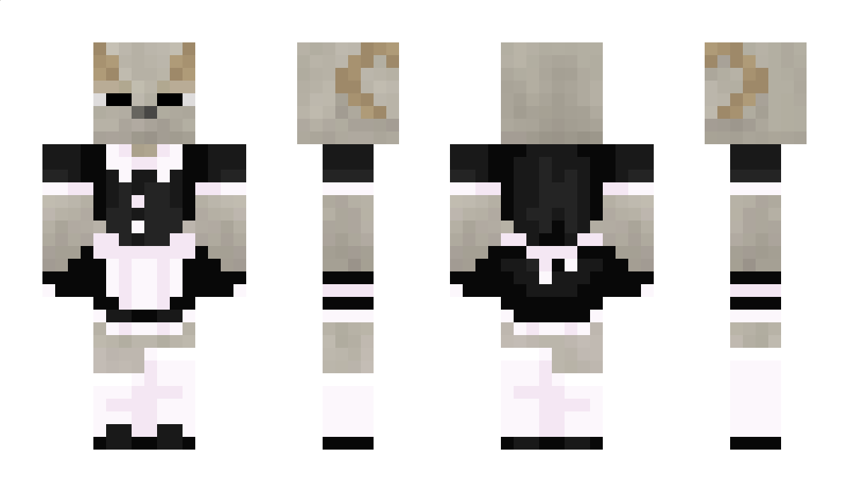 vikingdog35 Minecraft Skin