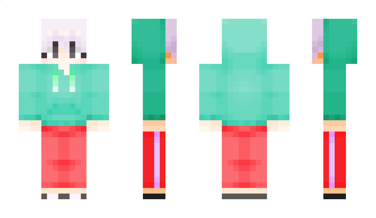 tora4211 Minecraft Skin