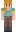 picr Minecraft Skin