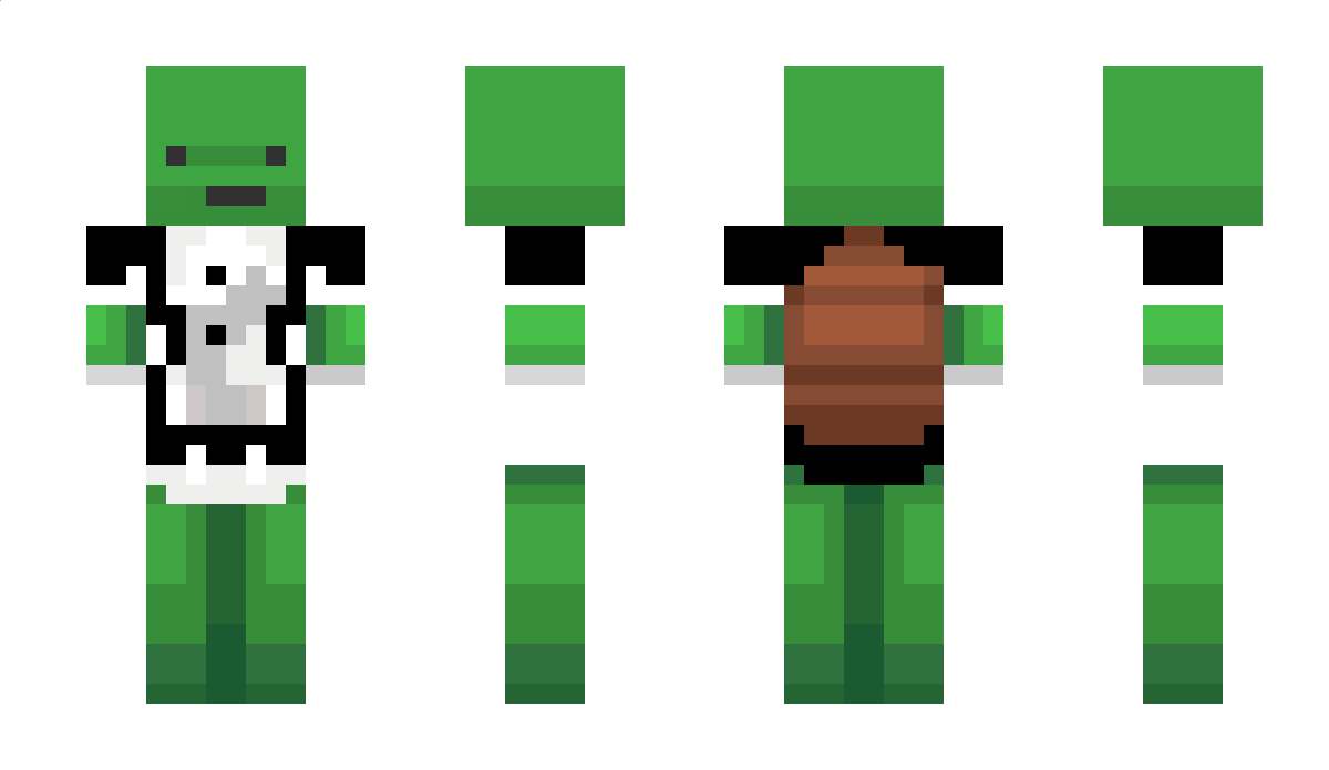 Sitarek_55 Minecraft Skin