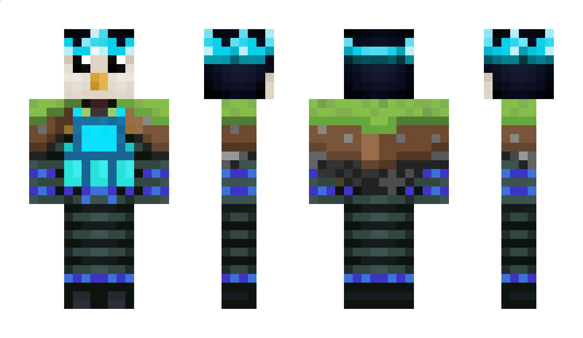 PixelPenguin27 Minecraft Skin