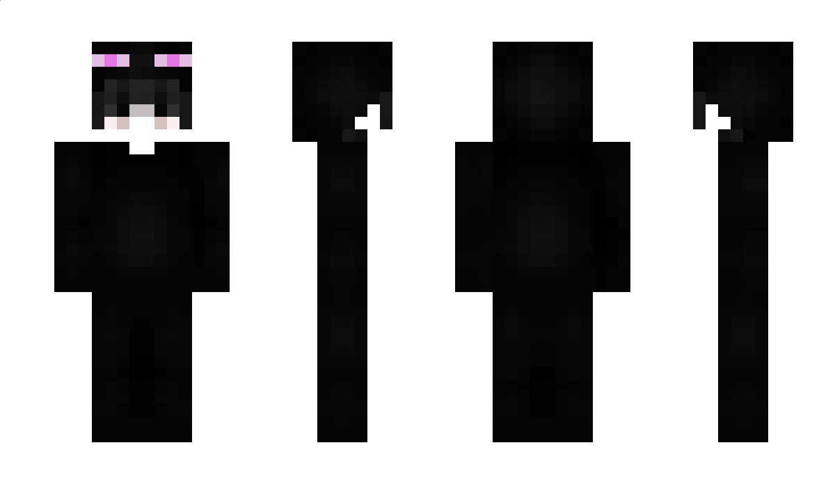 PhysikTheorie Minecraft Skin