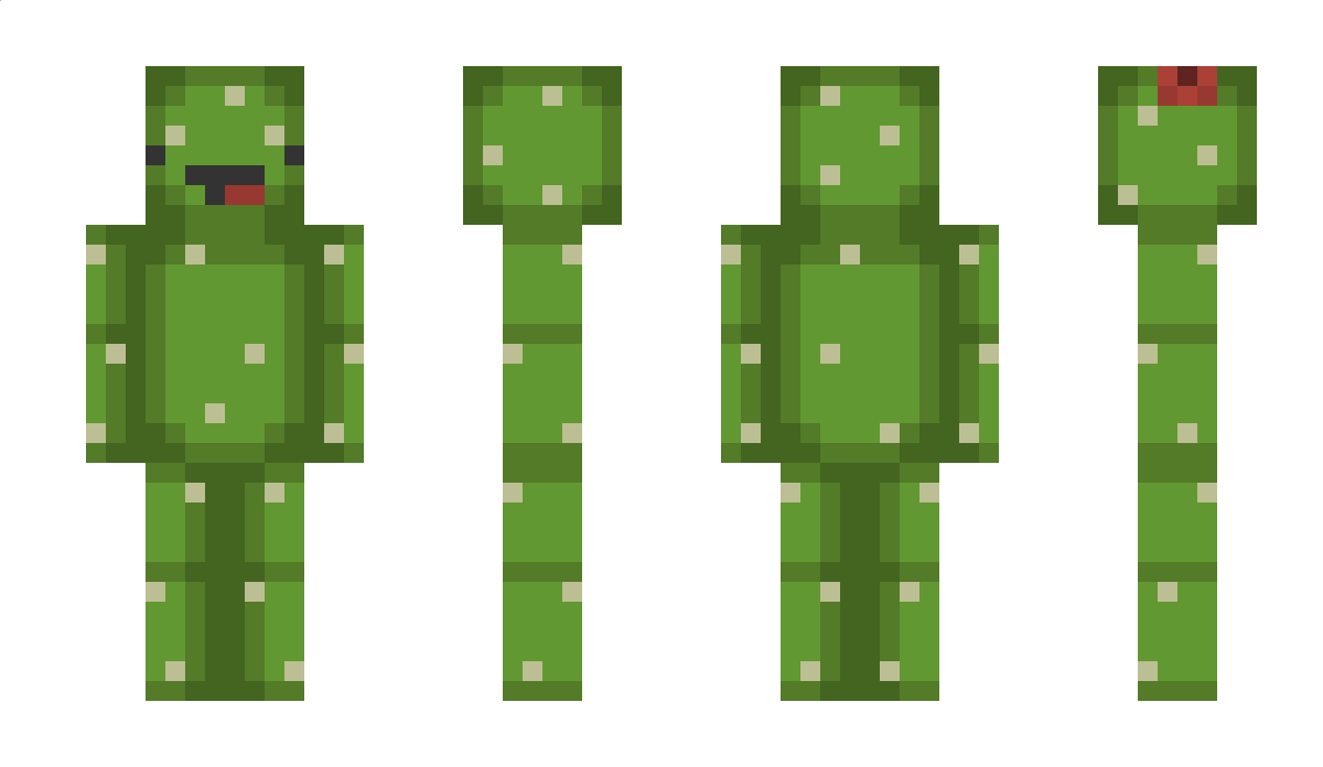 Bax0613 Minecraft Skin