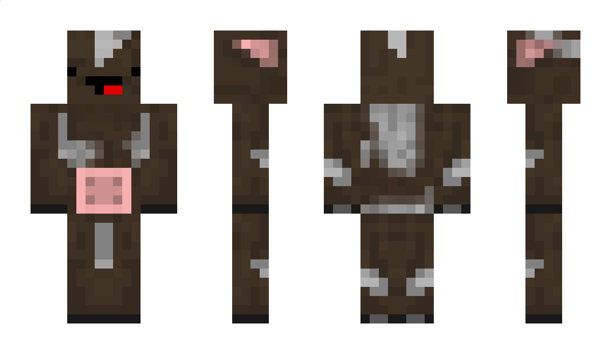 Knight_Raiderxx Minecraft Skin