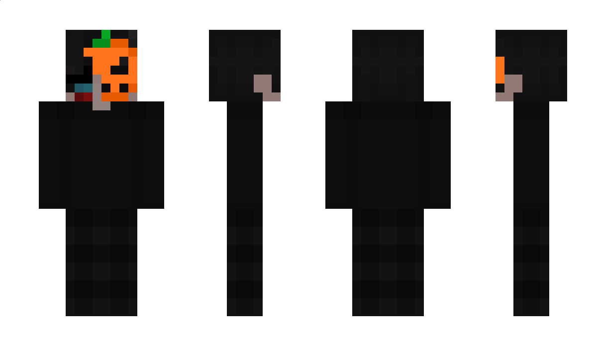 MisterSheep333 Minecraft Skin