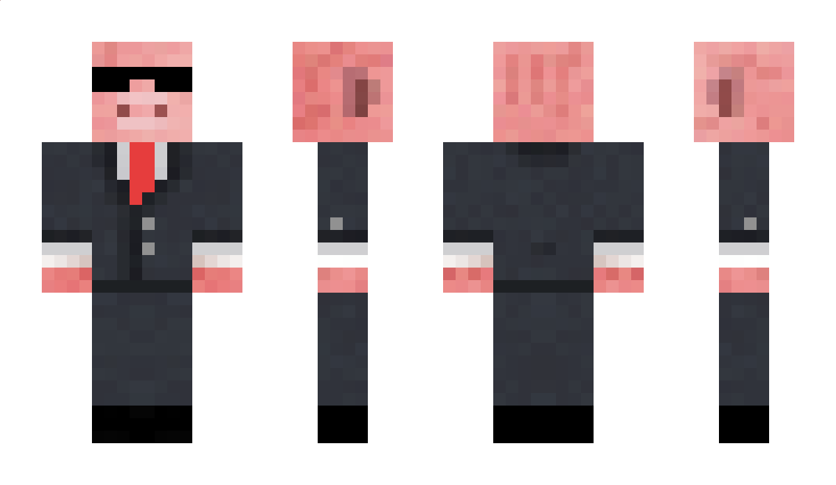 MCHE Minecraft Skin