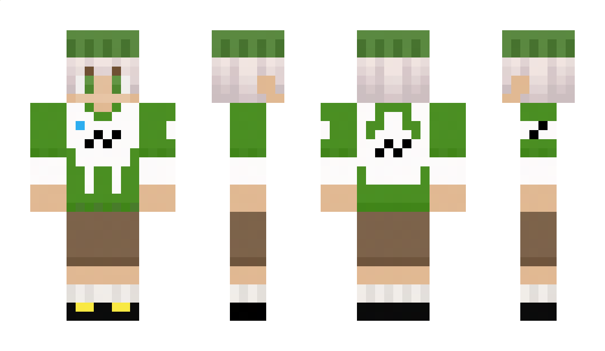 Parzivale Minecraft Skin