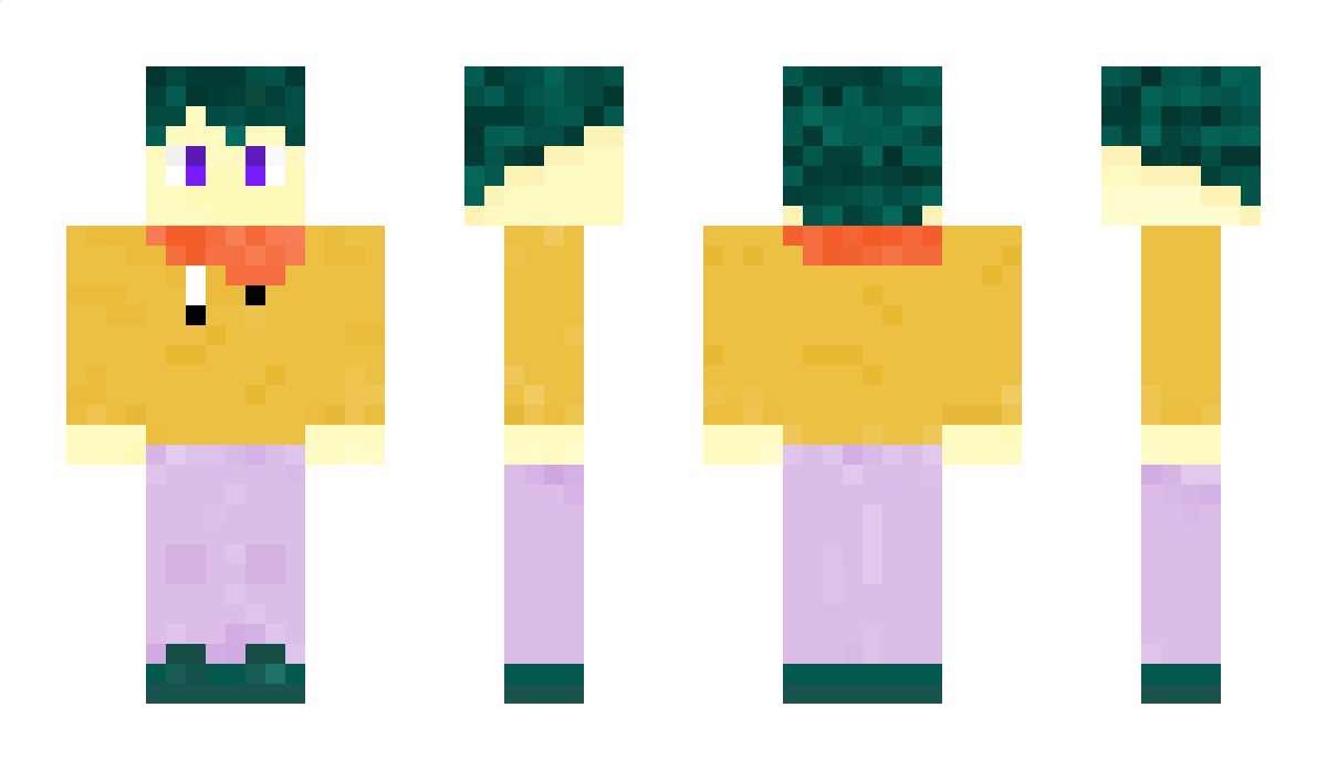 Netri9 Minecraft Skin