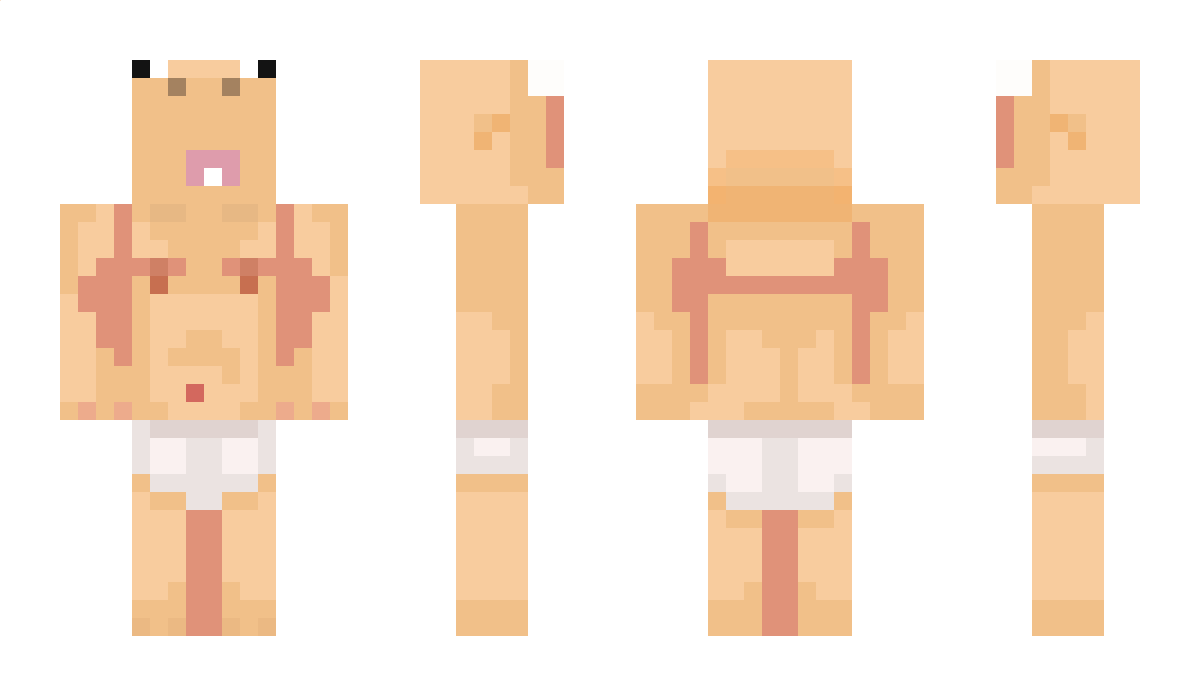 nhe Minecraft Skin