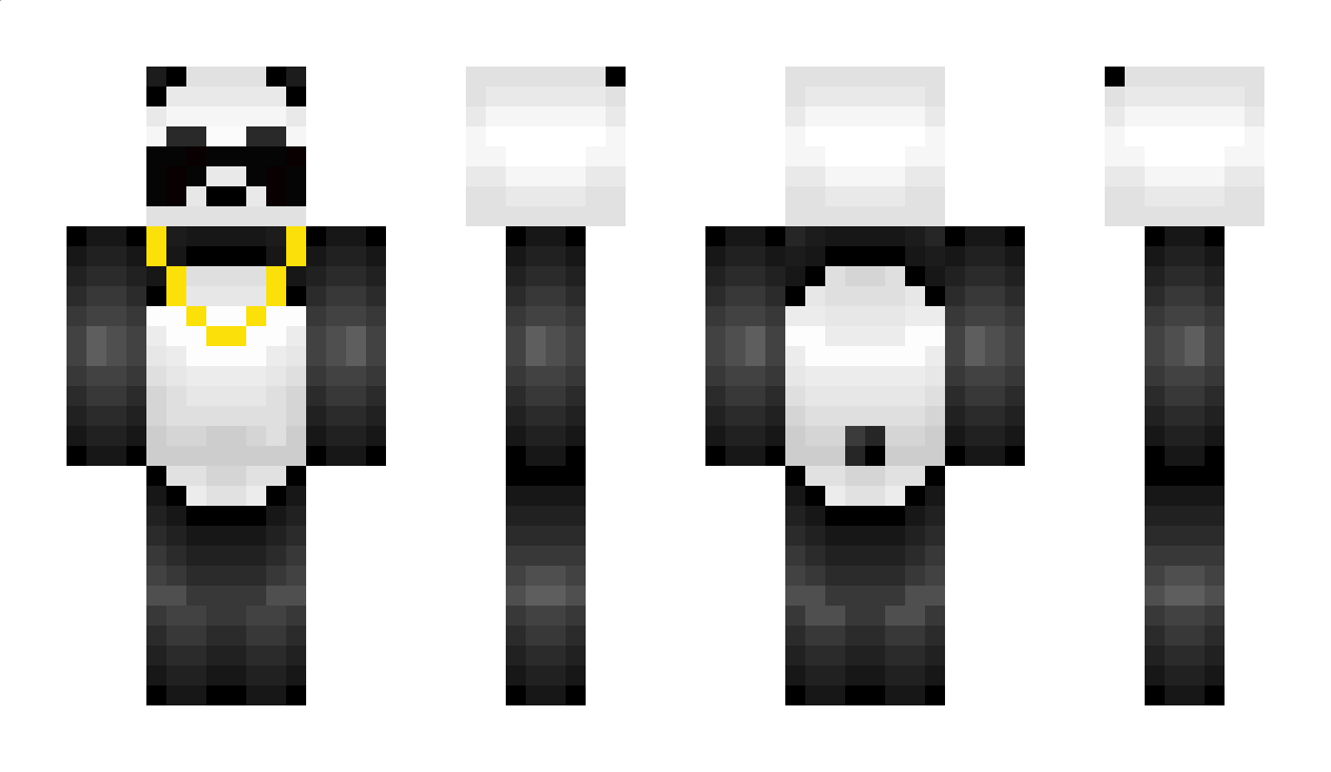 PANDZIOLA1789 Minecraft Skin