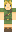 SuikaIbuki Minecraft Skin