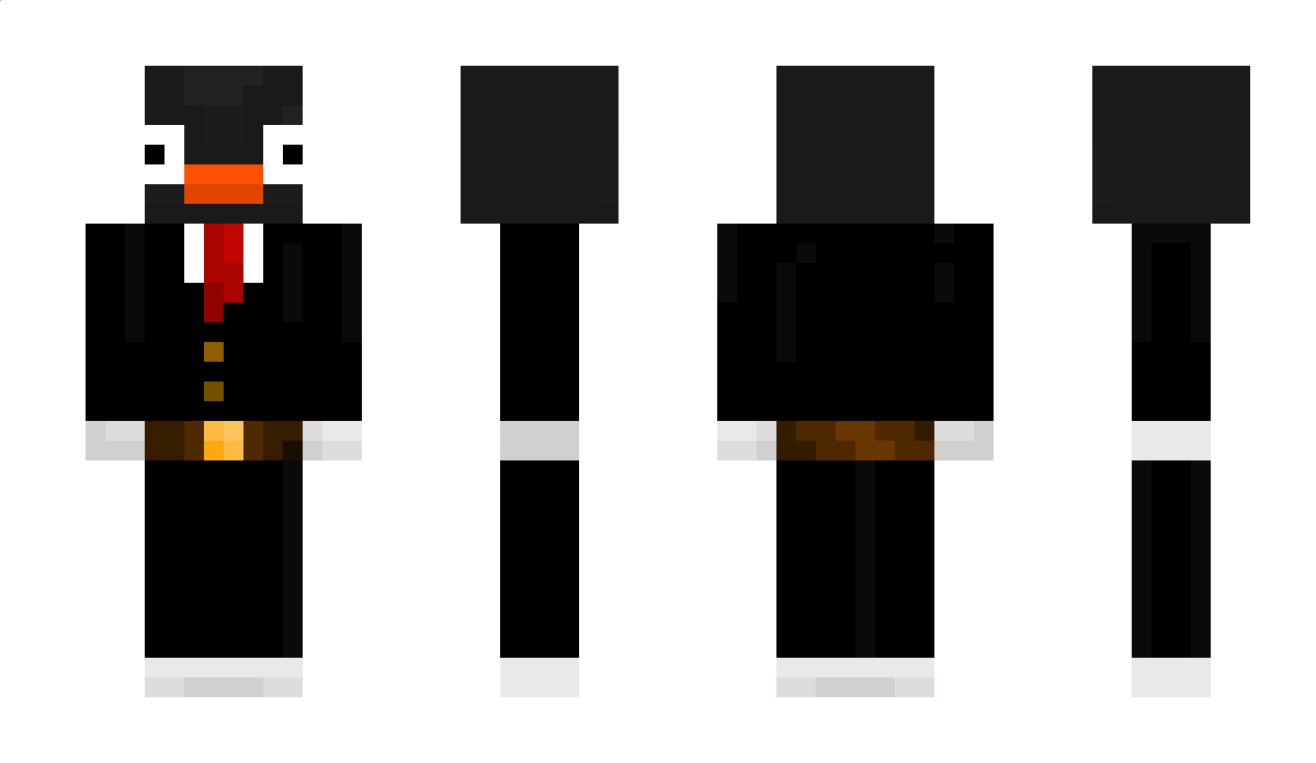 Polkagris560 Minecraft Skin