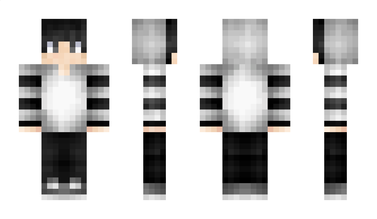 PolarArtz Minecraft Skin