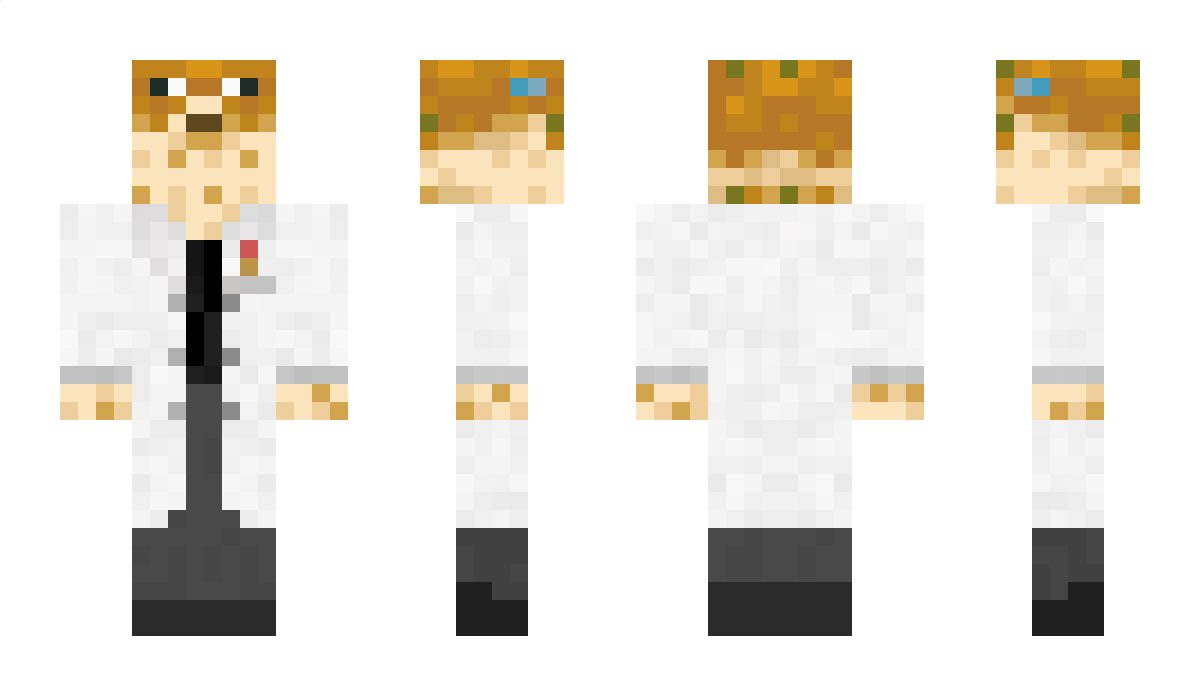 MD220411 Minecraft Skin