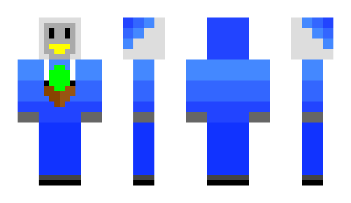 Random_Pengu Minecraft Skin