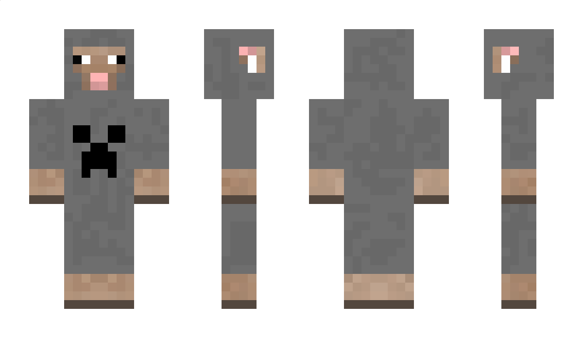 CWhy Minecraft Skin