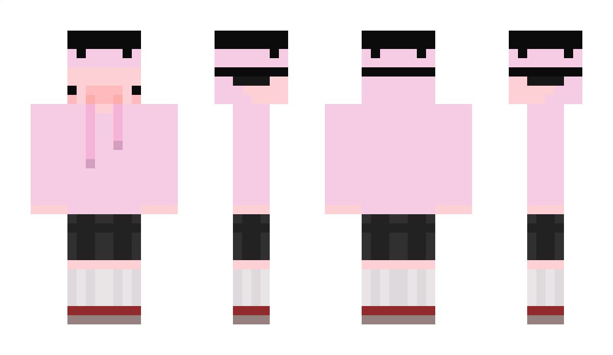 WDolphin Minecraft Skin