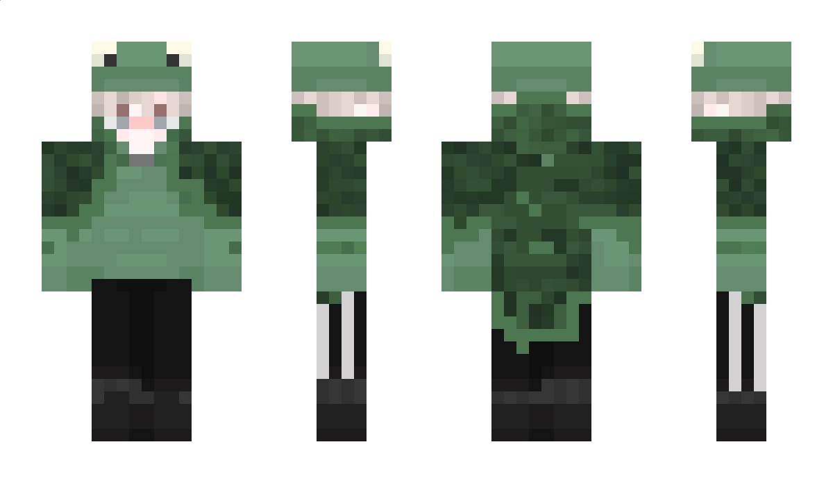 FroggySHV Minecraft Skin