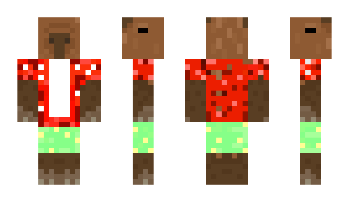 Janek3377 Minecraft Skin