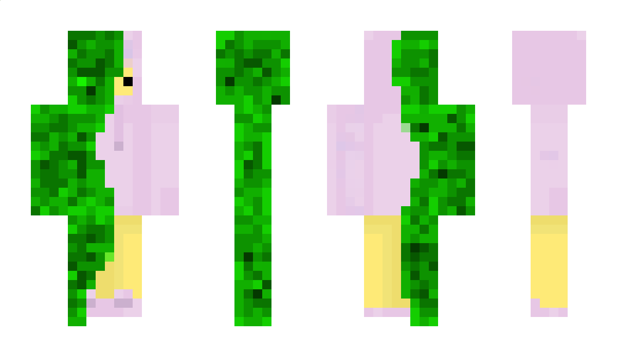 hacoder Minecraft Skin