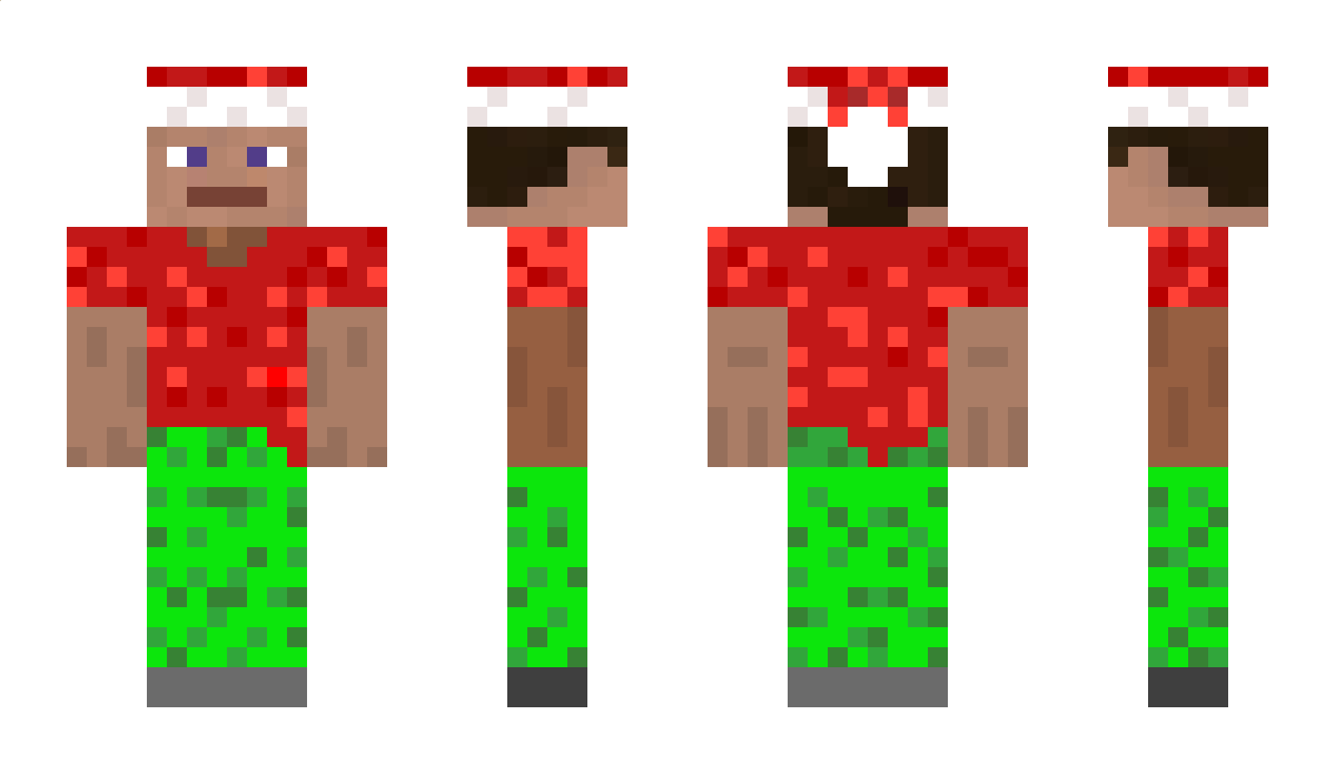 Sakke100 Minecraft Skin