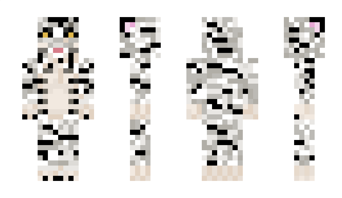 Nanduu2011 Minecraft Skin