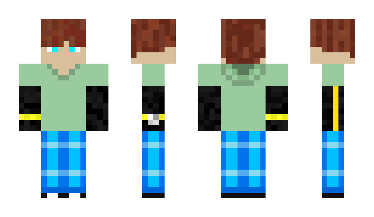 ciasteczko_456 Minecraft Skin