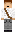 Berwiin Minecraft Skin