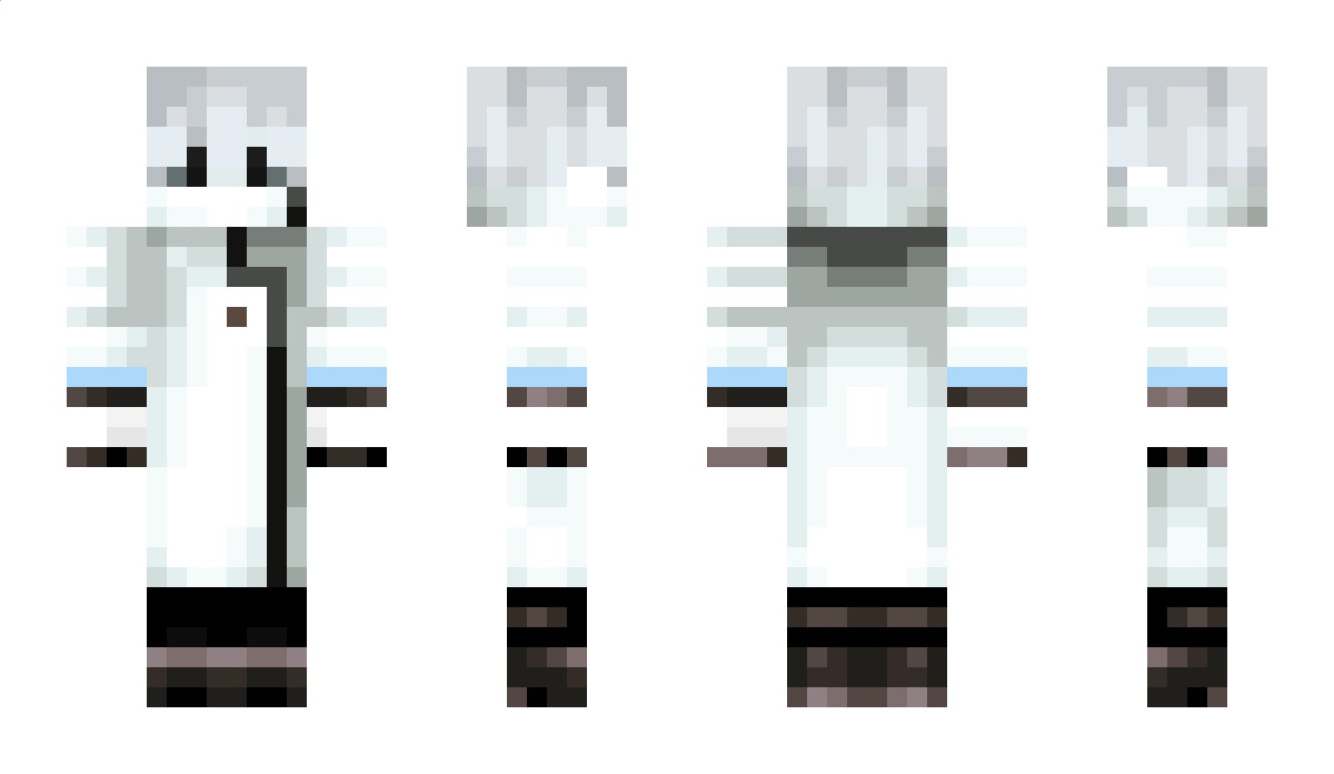 voidm1st Minecraft Skin