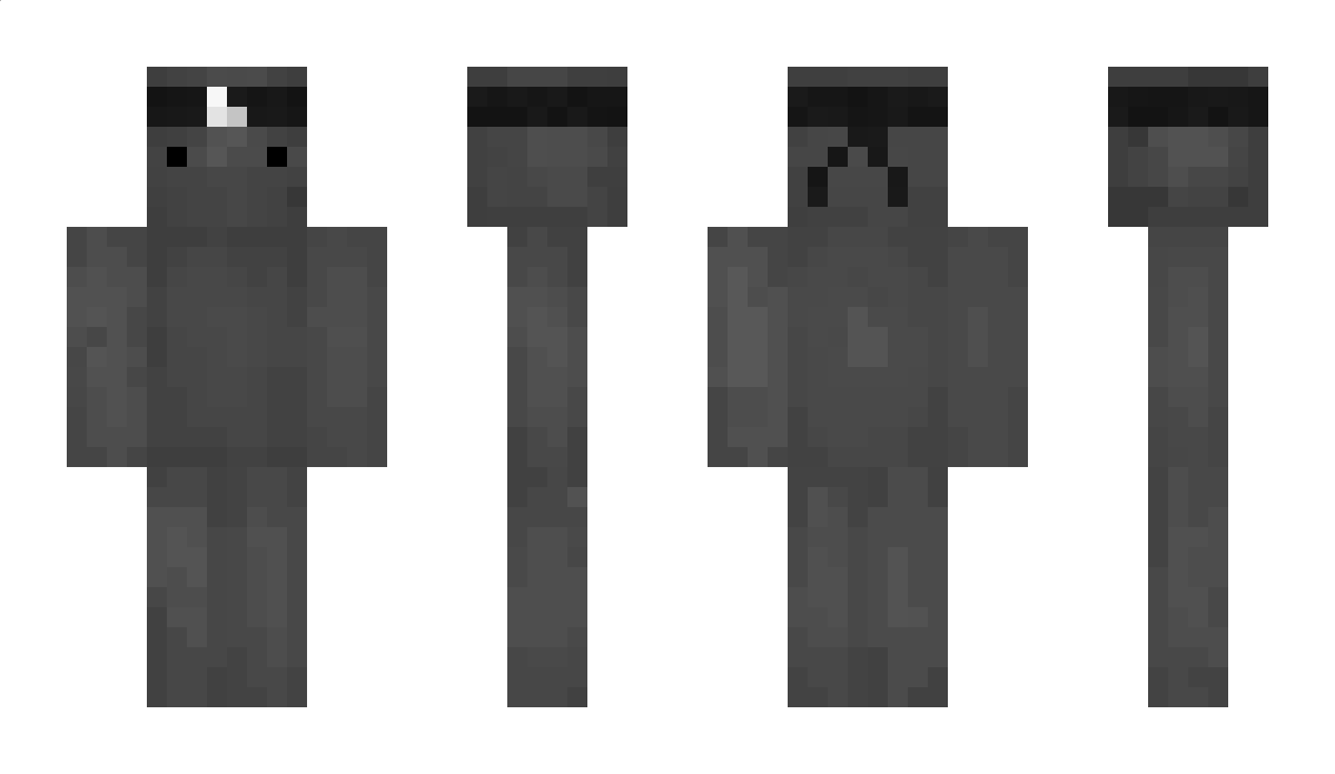 Rip1bir Minecraft Skin